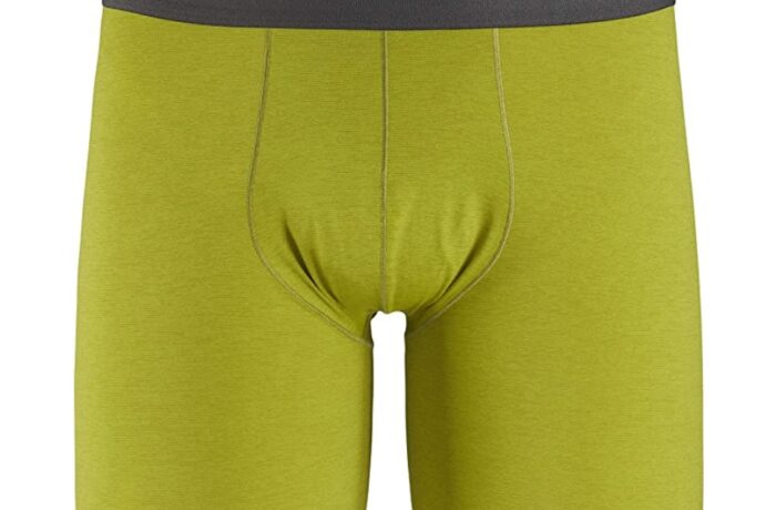 Arcteryx Motus SL boxers