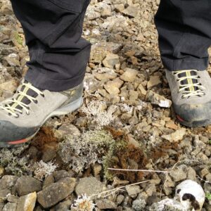 Salewa Mountain Trainer Mid – First Hand Review
