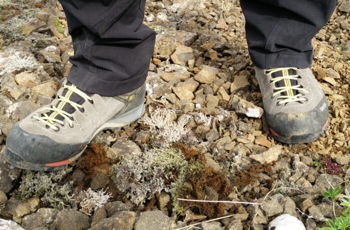 Salewa Mountain Trainer Mid