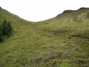 Thorbjorn Trail - Path