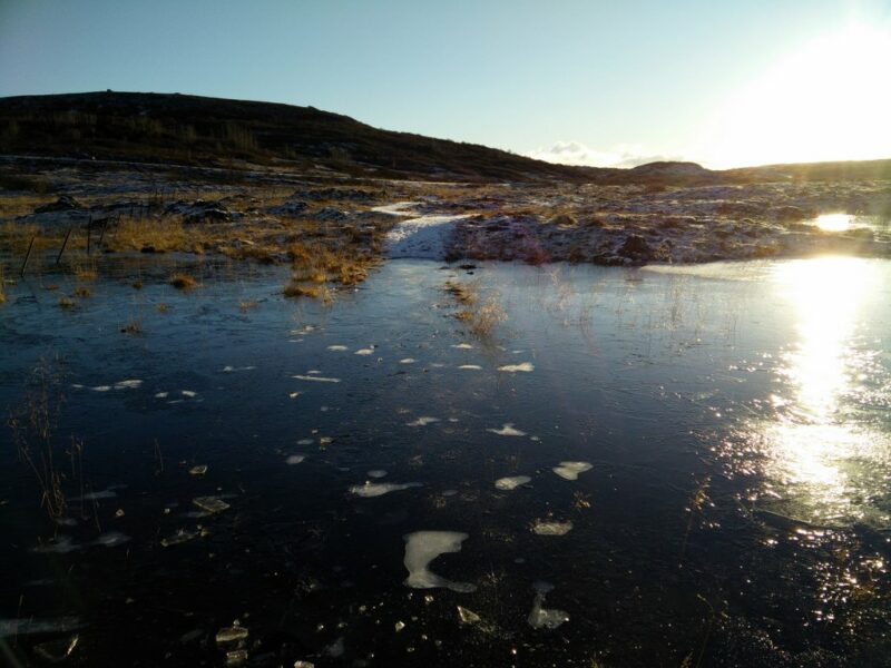 Burfell Crater Trail - Swampy Area