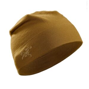 Arcteryx Rho LT Beanie