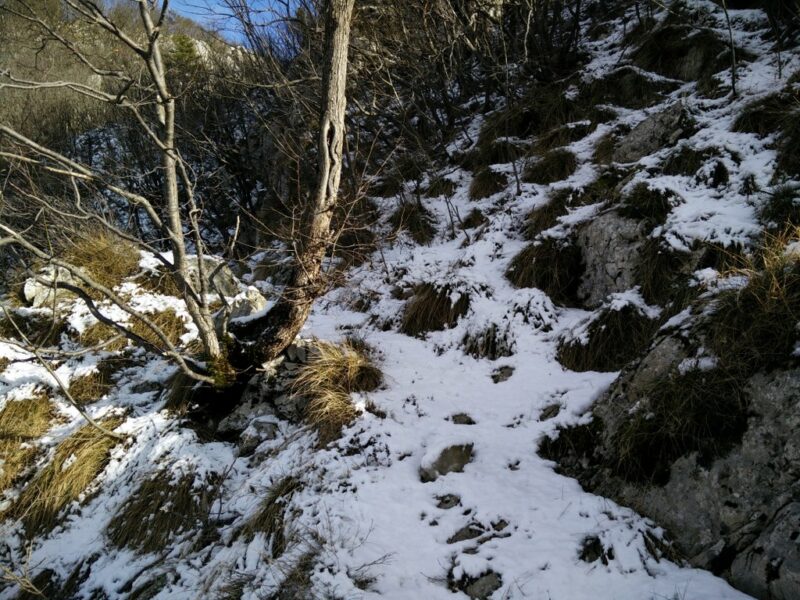Gradiska Tura Trail - Melted snow higher up