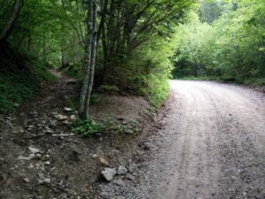 Begunjscica Trail - The trail splits from the wide dirt track