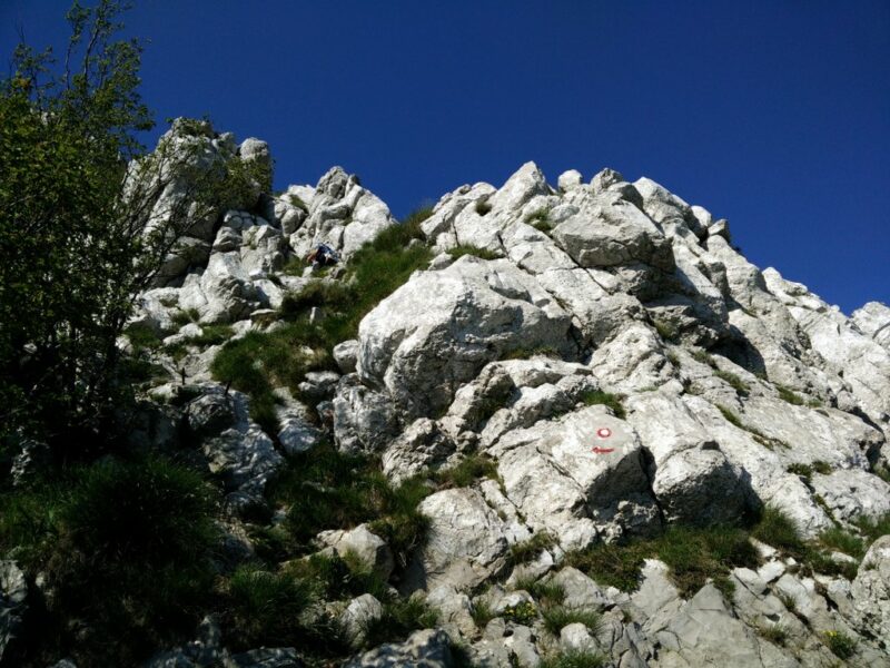 Nanos Trail - Along the Trail