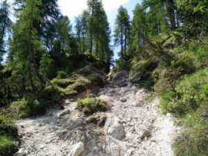 Cima del Cacciatore - The trail goes through sparse woods