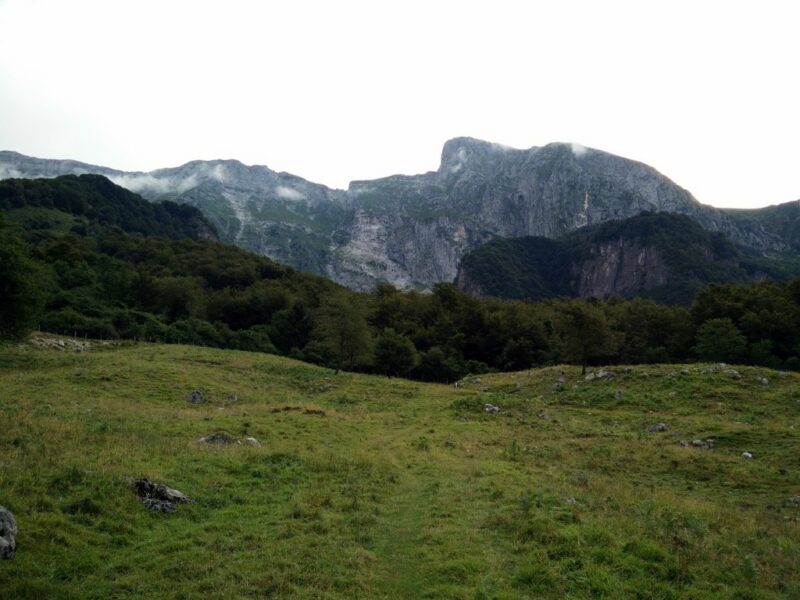 Krn Trail - Fenced Pasture