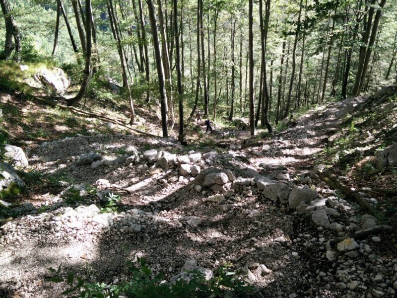 Skuta Trail - The path ascends through woods