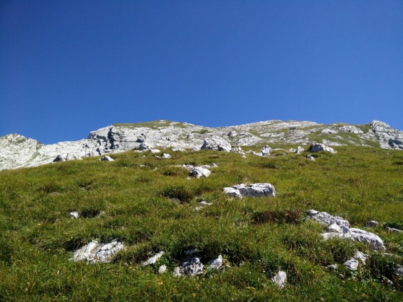 Vogel Trail - Ascending towards the top of the ridge