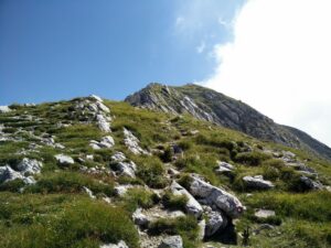 Vogel Trail - Ascending the peak