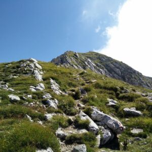 Vogel Trail – Hiking the Alps