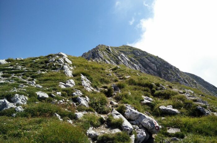 Vogel Trail - Ascending the peak