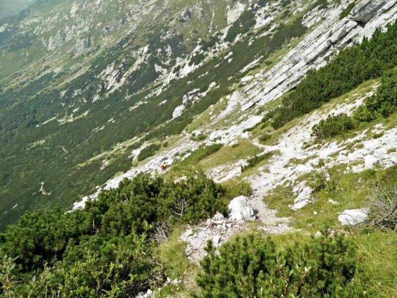 Vogel Trail - The shorter eastern route