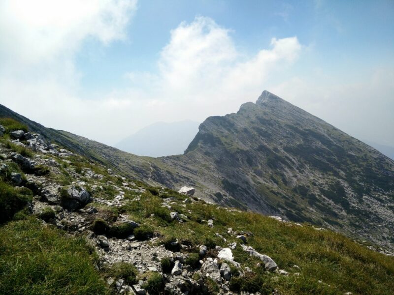 August - Vogel Trail