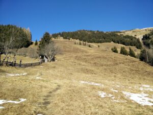 Grubereck Trail - Grassy Slope