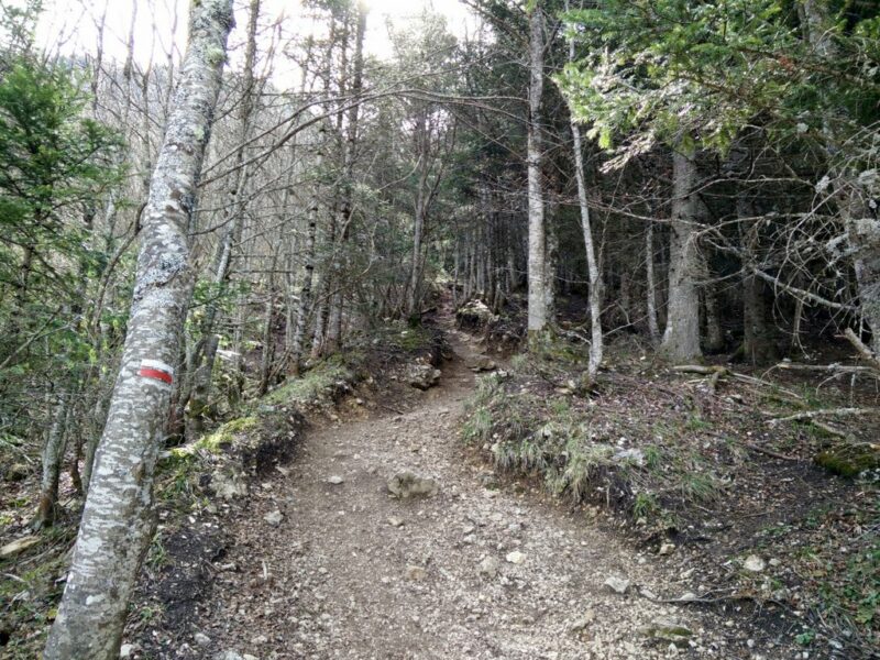 Moucherotte Trail - Narrow path