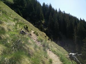 Stol Hochstuhl Trail - Narrow path