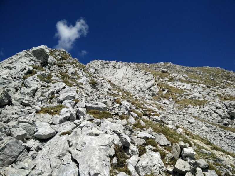 Vrh nad Skrbino Trail - Just beneath the peak