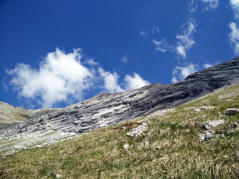 Vrh nad Skrbino Trail - View on the ridge