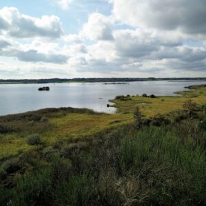 Bolling Lake Trail near Silkeborg and Aarhus – Hiking Denmark