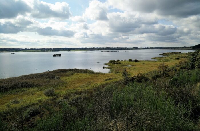 Bolling Lake Trail - View on the lake