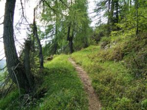 Hiking for Beginners - Find the right trail