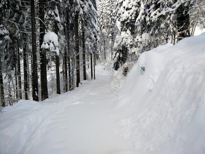 Blegos Trail - Trail After the Crossroad