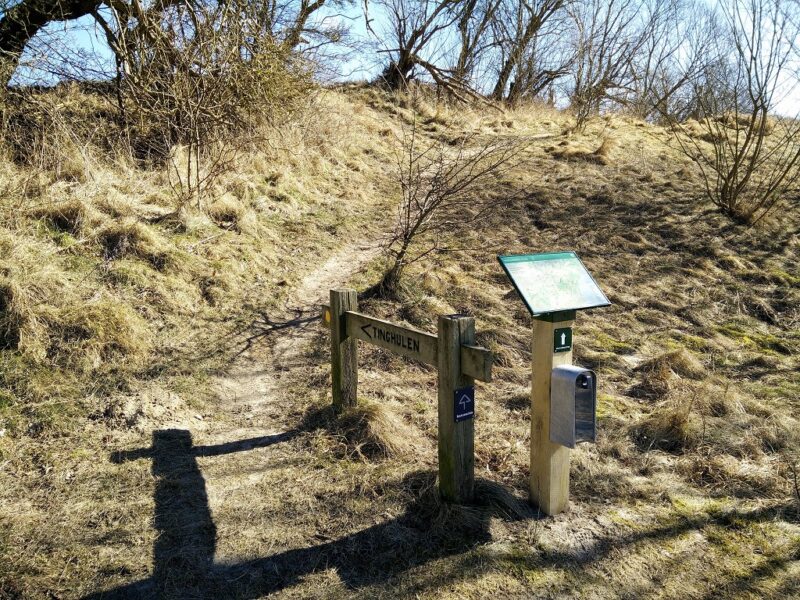 Mols Bjerge Trail - Path towards the Tinghule
