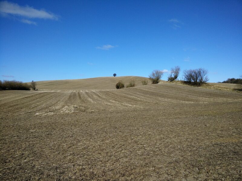 Mols Bjerge Trail - View near Poskaer Stenhus
