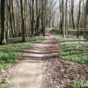 Moesgaard Strand Trail near Aarhus – Hiking Denmark
