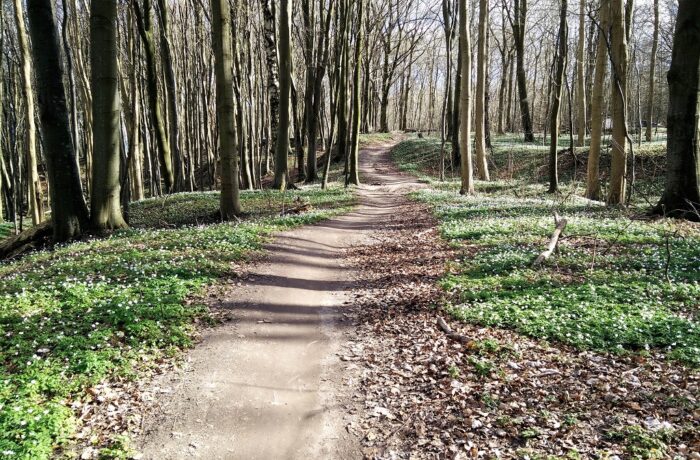 Moesgaard Strand Trail - Trail