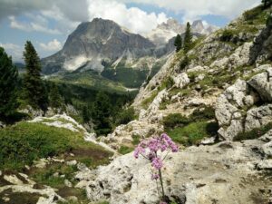 How to Train for Hiking and Backpacking - Enjoy the nature rather than suffer