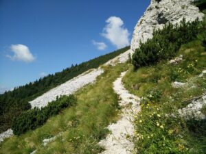 Vrtaca Trail - Towards the mountain hut