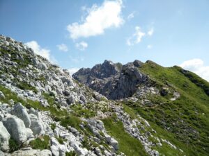 Vrtaca Trail - Towards the top
