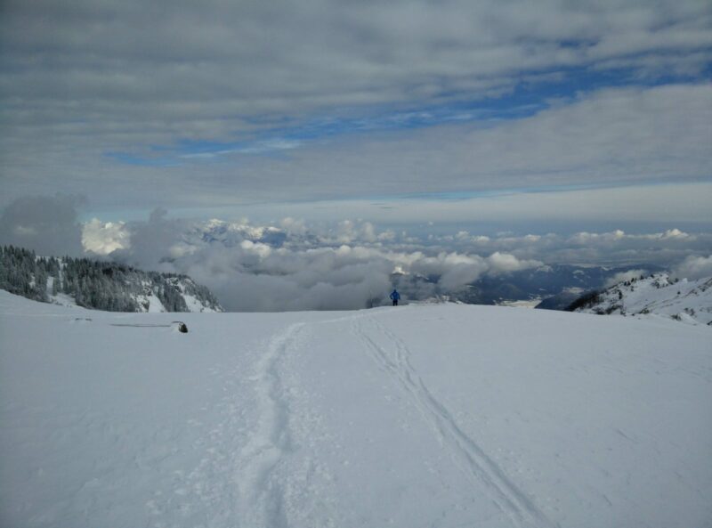 Ratitovec Altemaver Trail - The way back