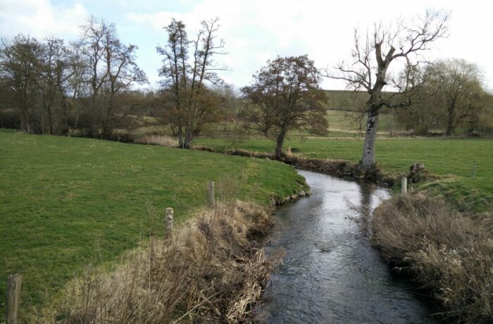 Moesgaard Museum Trail - Creek
