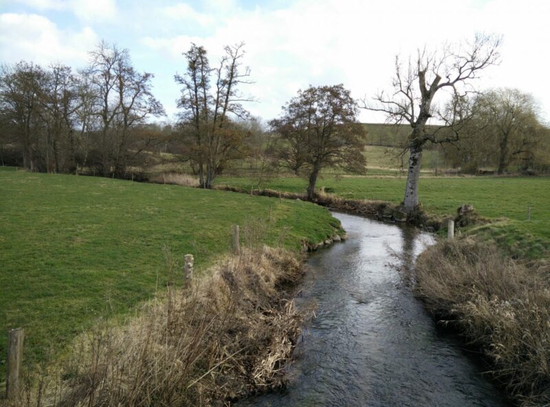 Moesgaard Museum Trail - Creek