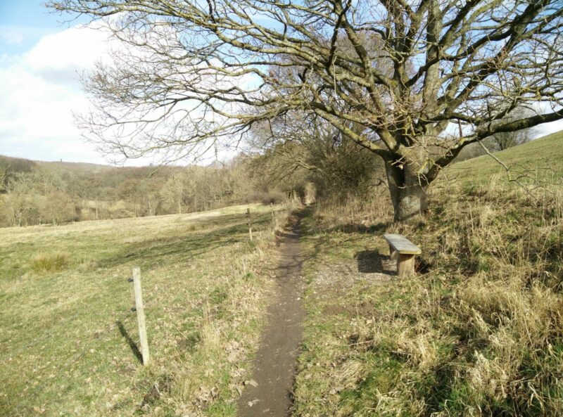 Moesgaard Museum Trail - Narrow path