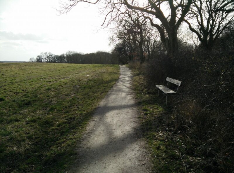 Moesgaard Museum Trail - Towards the museum