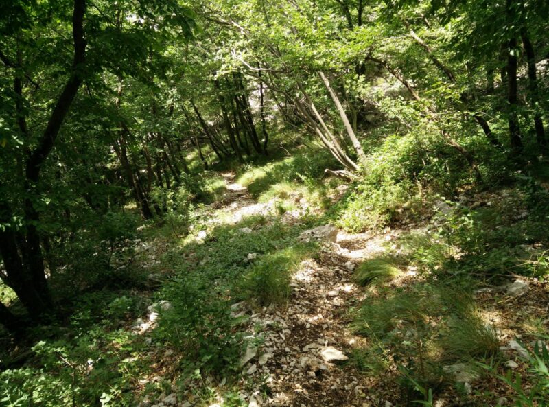 Otmarjeva Pot Via Ferrata - Path back
