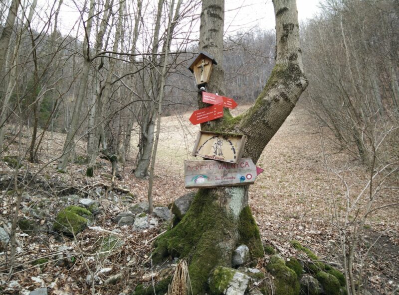 Velika Planina Trail: Both trails lead to Velika Planina, the left one is a shortcut