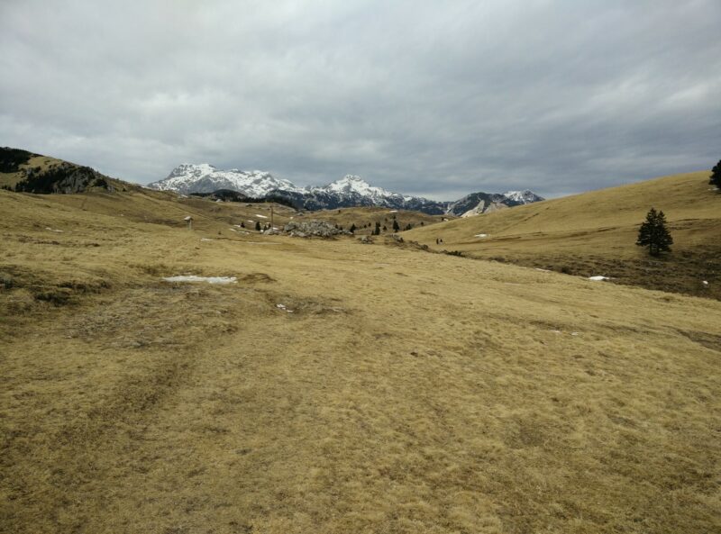 Velika Planina Trail: On the plateau