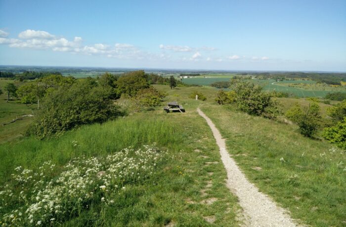 Agri Bavnehøj trail - path on the hill itself