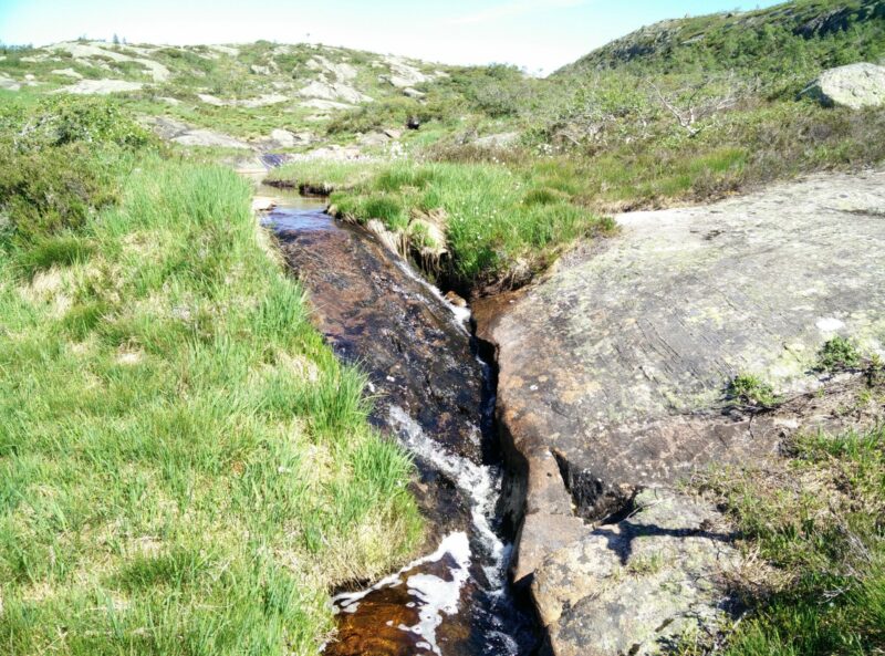 Reinstjønn Hiking Trail in Bortelid, Norway - Bergenæå on the plateau