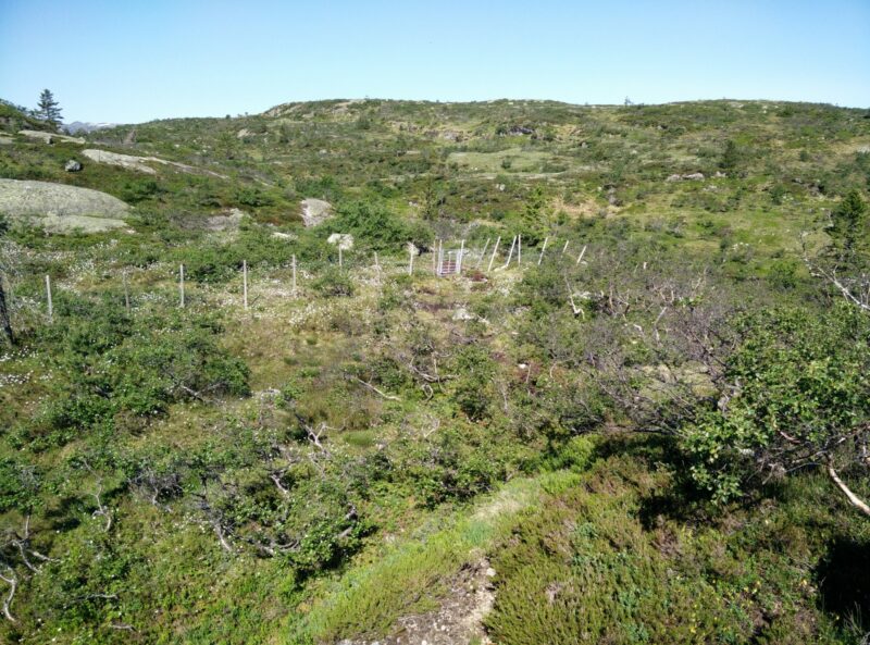 Reinstjønn Hiking Trail in Bortelid, Norway - fence in the western end of the plateau