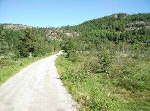 Reinstjønn Hiking Trail in Bortelid, Norway - the dirt road called Berge