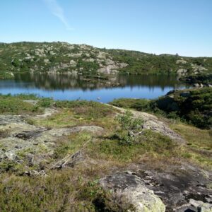 Reinstjønn Hiking Trail in Bortelid, Norway