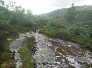 Gjuvvatnet Hiking Trail - finding the narrow path just after crossing the stream