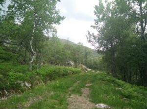 Gjuvvatnet Hiking Trail - path starts ascending