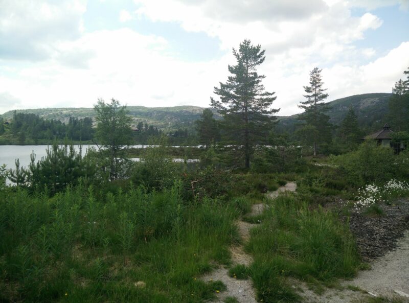 Gjuvvatnet Hiking Trail - the wooden pavilion could be a nice picnic spot at Rundatjønnæ